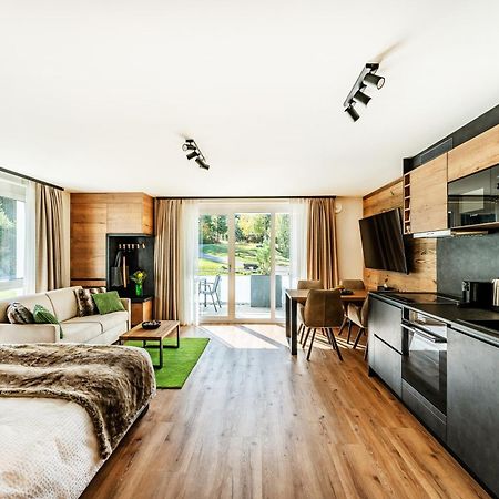 Black Forest Luxury Apartment Baerenhoehle Mit Sauna Шлухзее Экстерьер фото