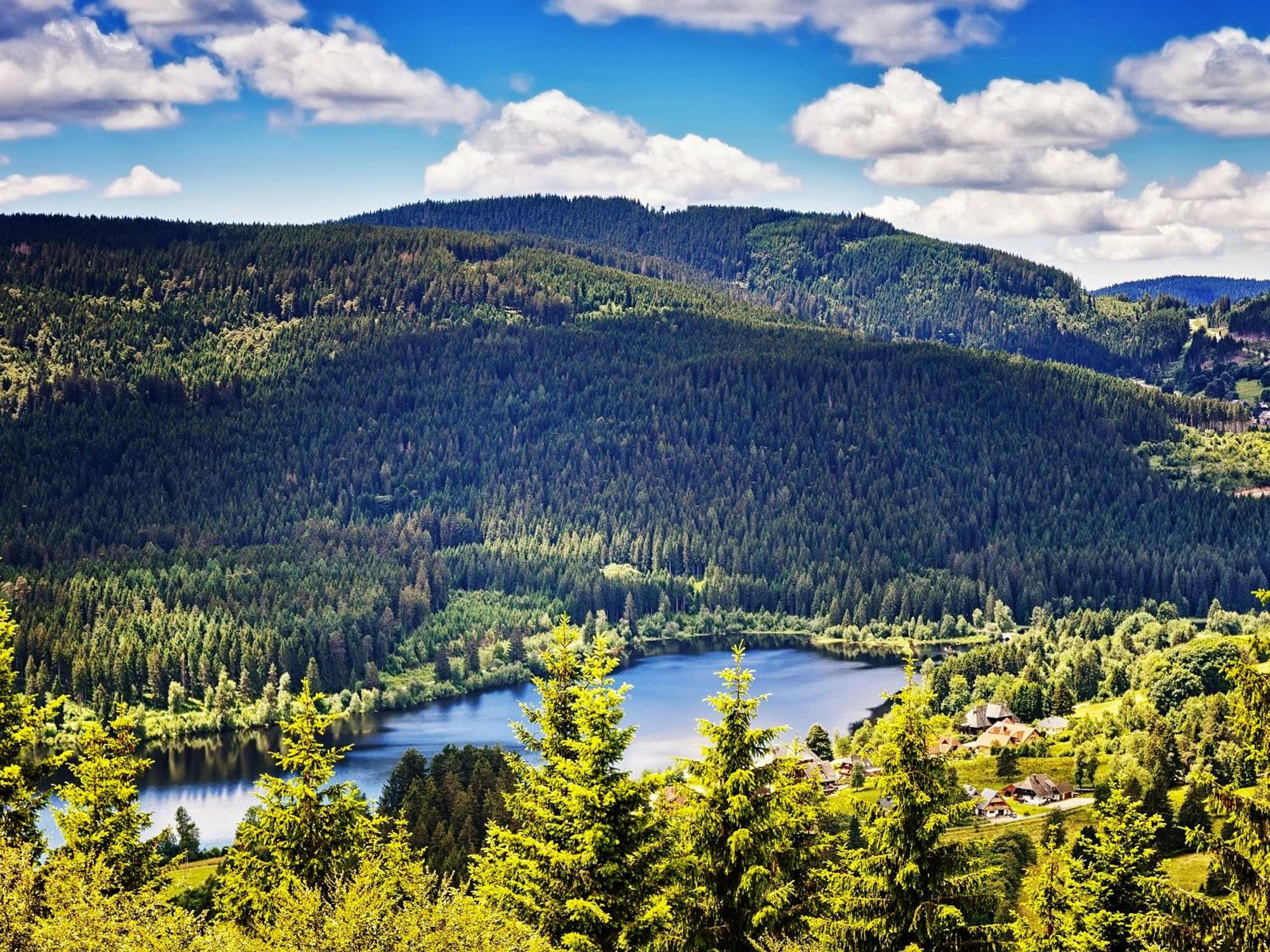 Black Forest Luxury Apartment Baerenhoehle Mit Sauna Шлухзее Экстерьер фото